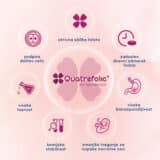 novalac prentalne kapsule vse o aktivna folna kislina quatrefolic