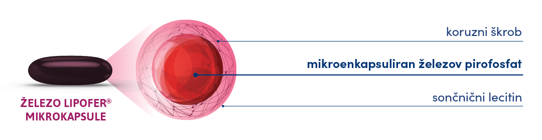 Sestava železa Lipofer®: mikroenkapsuliran železov pirofosfat, koruzni škrob in sončnični lecitin