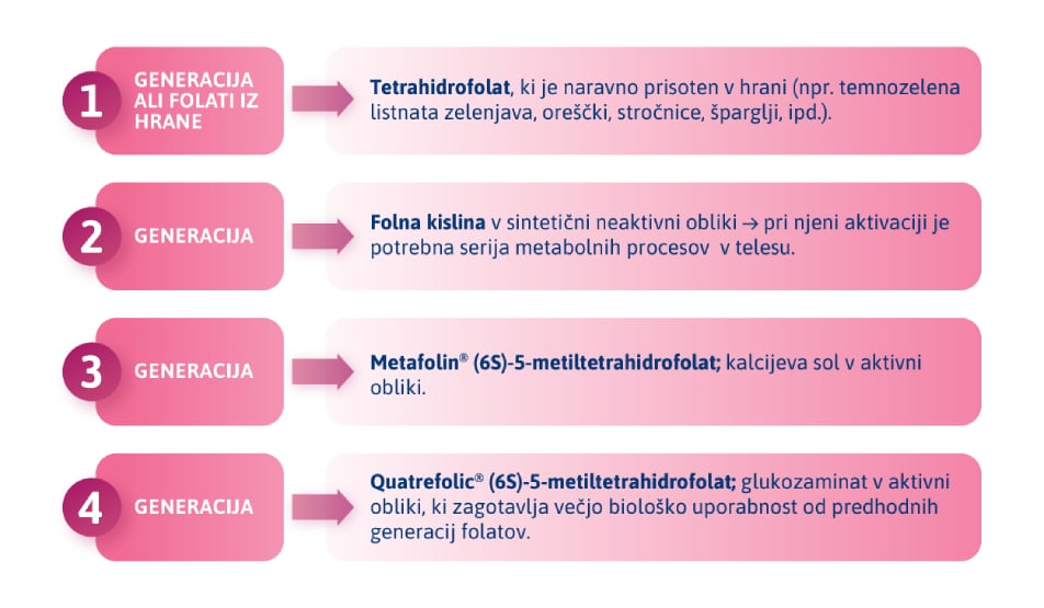 Generacije folatov in njihova biološka uporabnost, predstavljena v štirih stopnjah.
